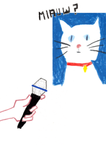 kleurrijke illustratie van een verwarde kat voor het boek Expeditie Jongerentaal van Acco