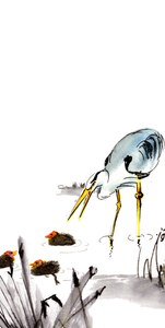 illustratie van een reiger die naar een meerkoetkuiken hapt