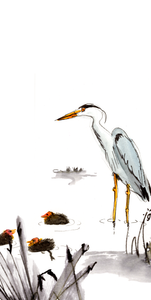 illustratie van een reiger en drie meerkoetkuikens